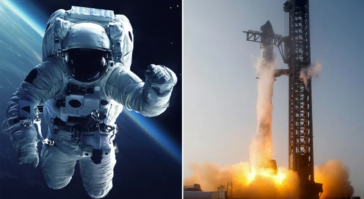 SpaceX Hiding a Secret Partnership Launch Startups